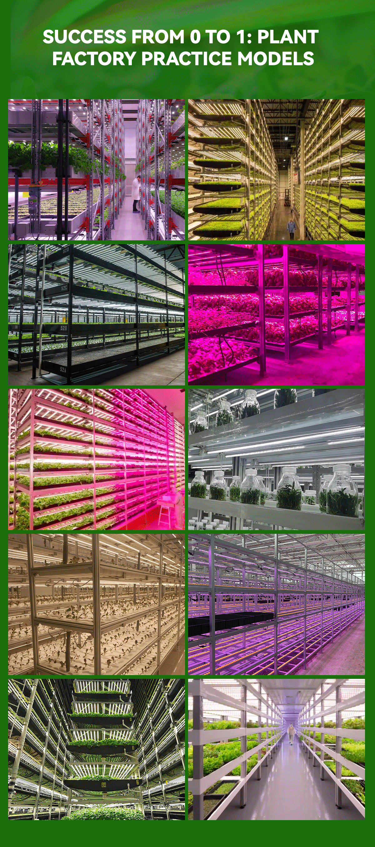 Vertical Plant factory - 山东旭昇光电科技有限公司